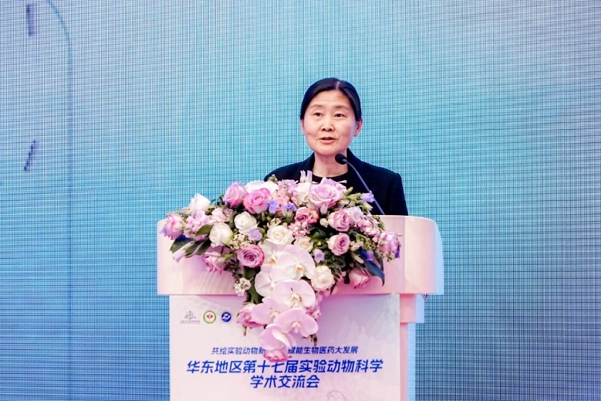 04.jpg