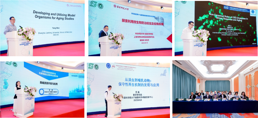 分会报告1.png